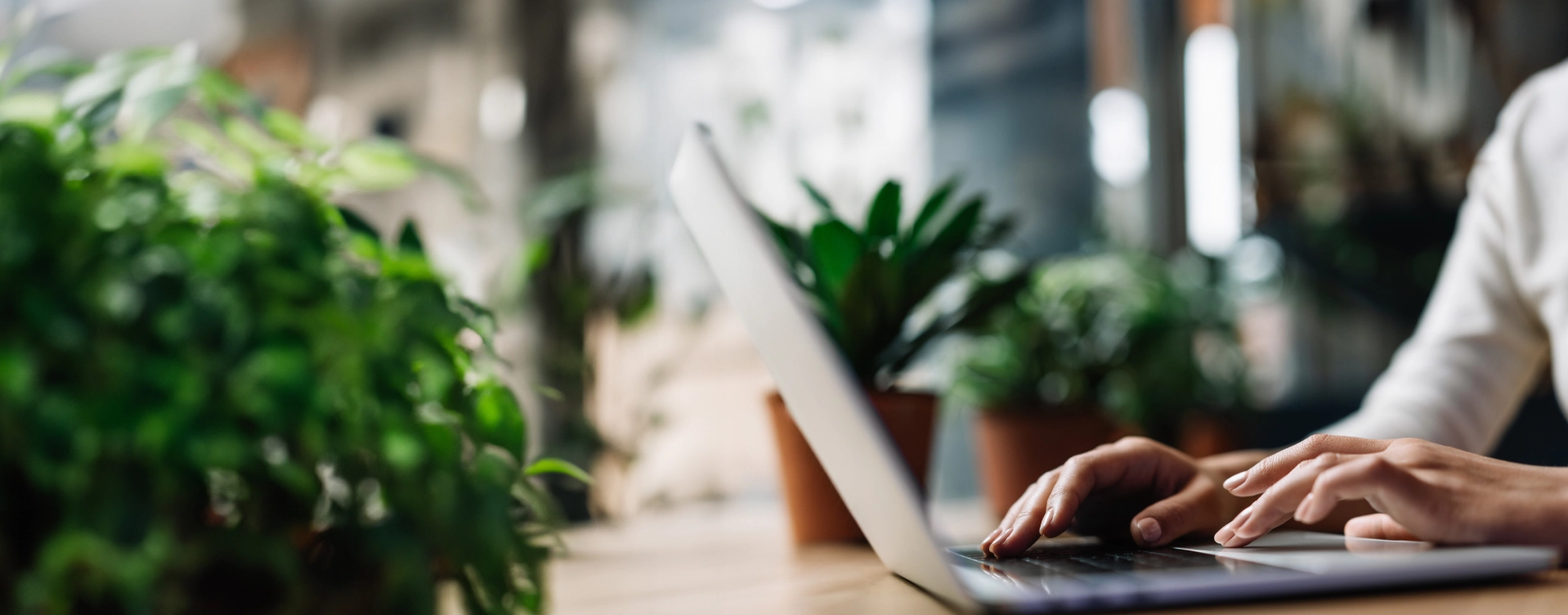 wobi_privacy_policy_banner