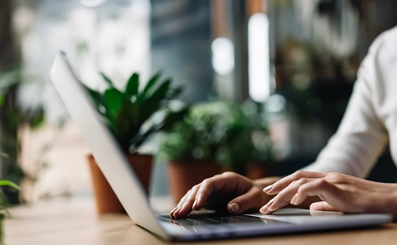 wbf_wobi_pass_banner_image-min